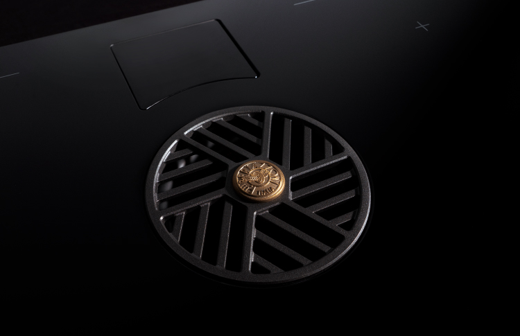 <strong>Induction hob with integrated hood</strong><br /> Distinctive design
